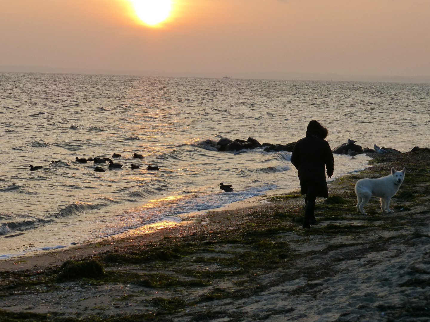 Strandspaziergang im November