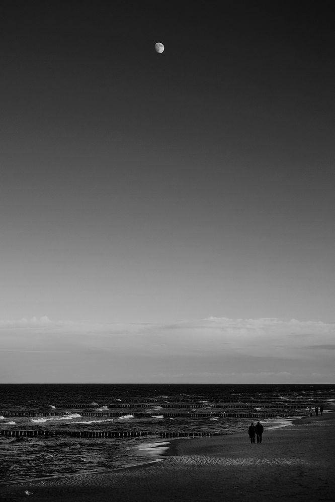 Strandspaziergang im Winter