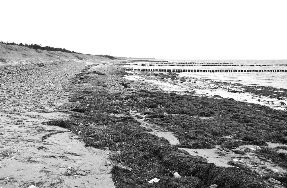 Strandspaziergang im Winter