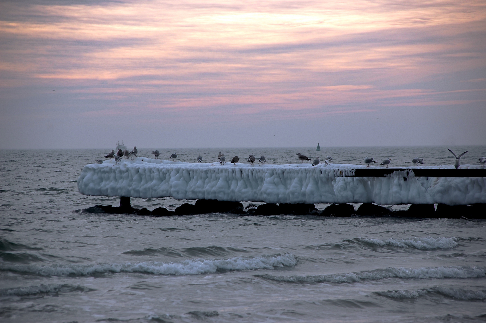 Strandspaziergang im Winter