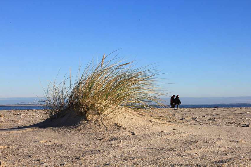 Strandspaziergang im Winter...