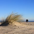 Strandspaziergang im Winter...