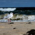 Strandspaziergang in Binz