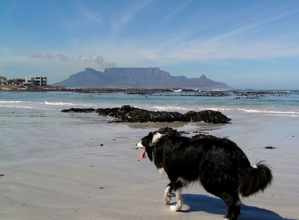 Strandspaziergang in Kapstadt
