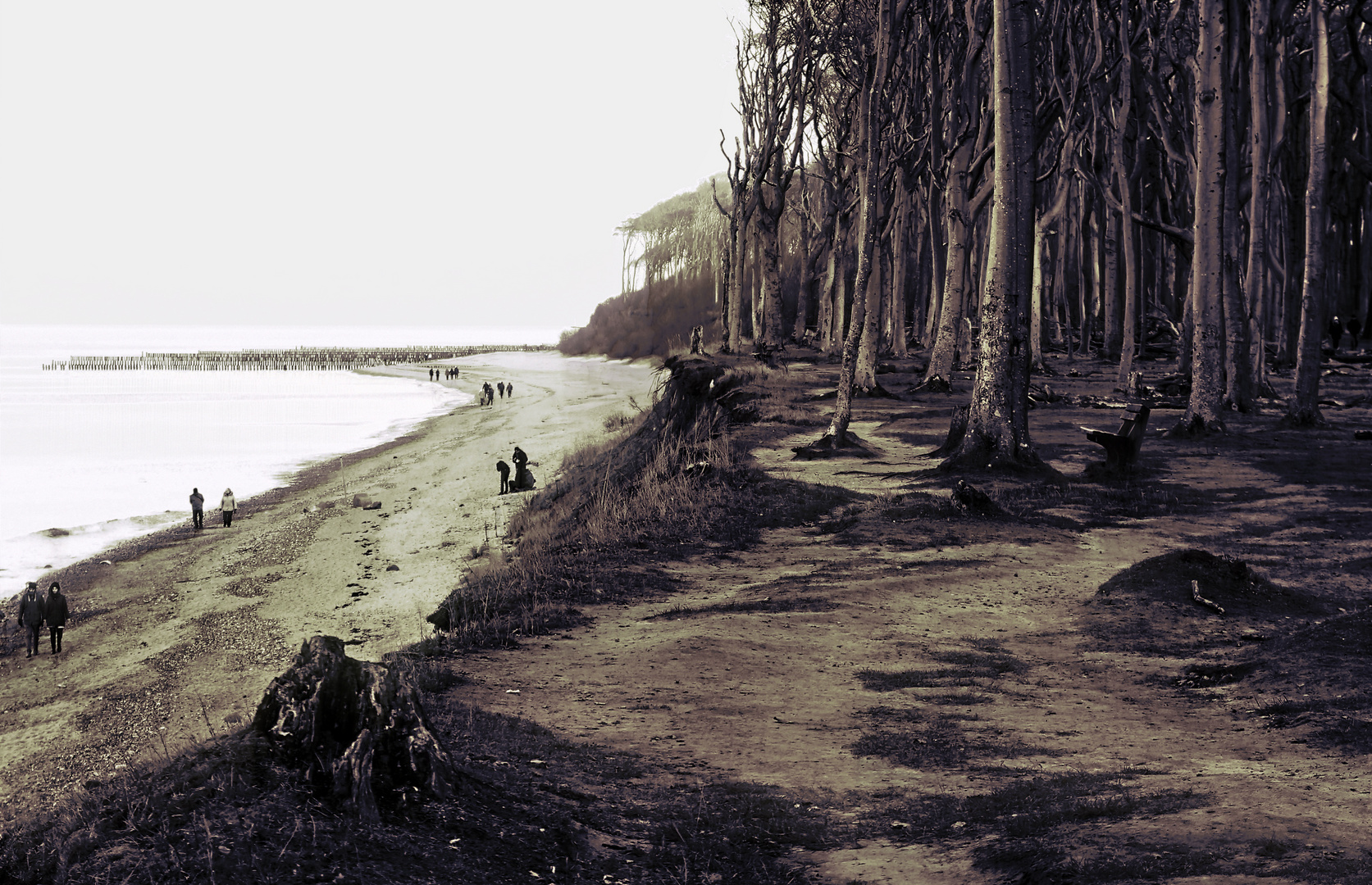 Strandspaziergang in Sepia