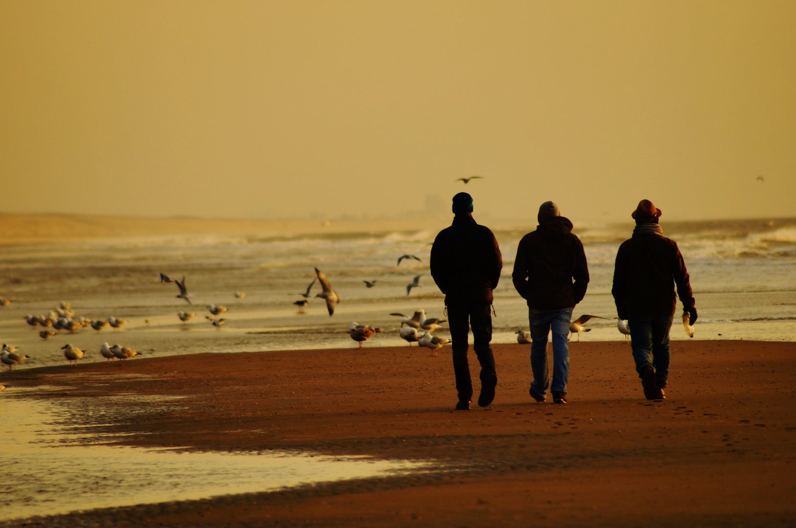 Strandspaziergang ins Nirgendwo