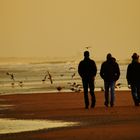 Strandspaziergang ins Nirgendwo