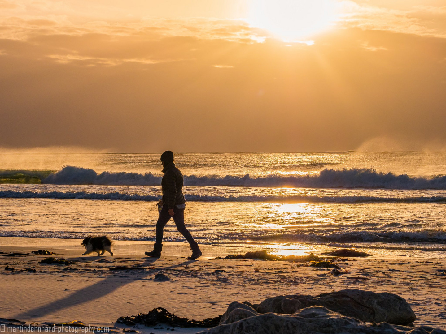 Strandspaziergang mit Hund