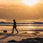 Strandspaziergang mit Hund