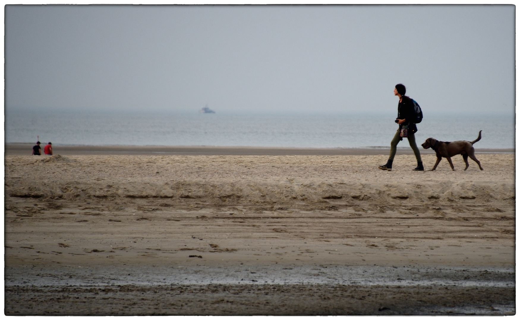 Strandspaziergang mit Hund II. - Promenade sur la plage avec le chien II.