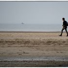 Strandspaziergang mit Hund II. - Promenade sur la plage avec le chien II.