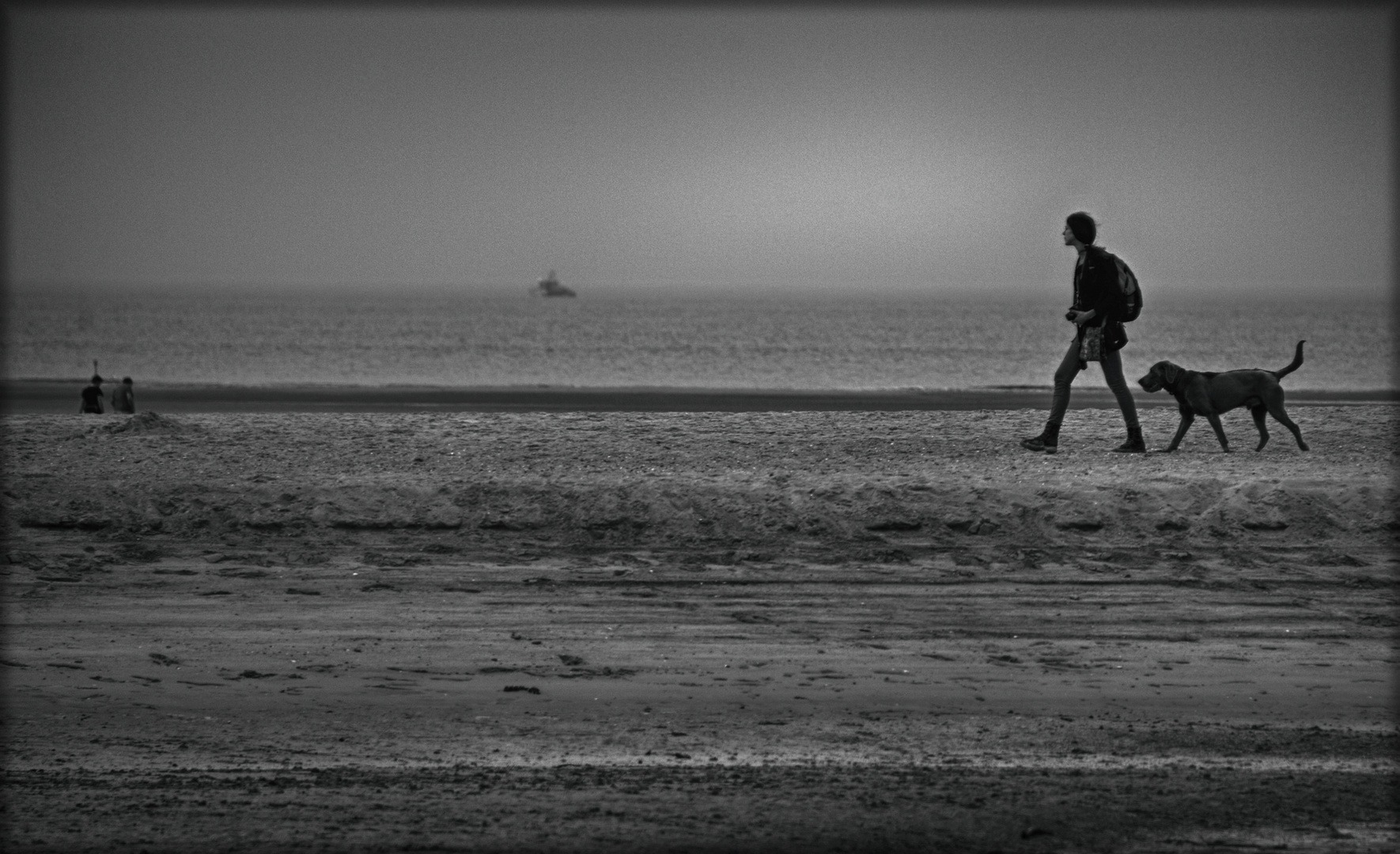 Strandspaziergang mit Hund - Promenade sur la plage avec le chien