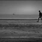 Strandspaziergang mit Hund - Promenade sur la plage avec le chien