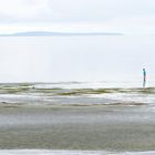 Strandspaziergang mit Möwe