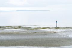 Strandspaziergang mit Möwe