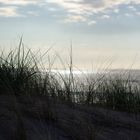 Strandspaziergang Noordwijk