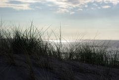 Strandspaziergang Noordwijk