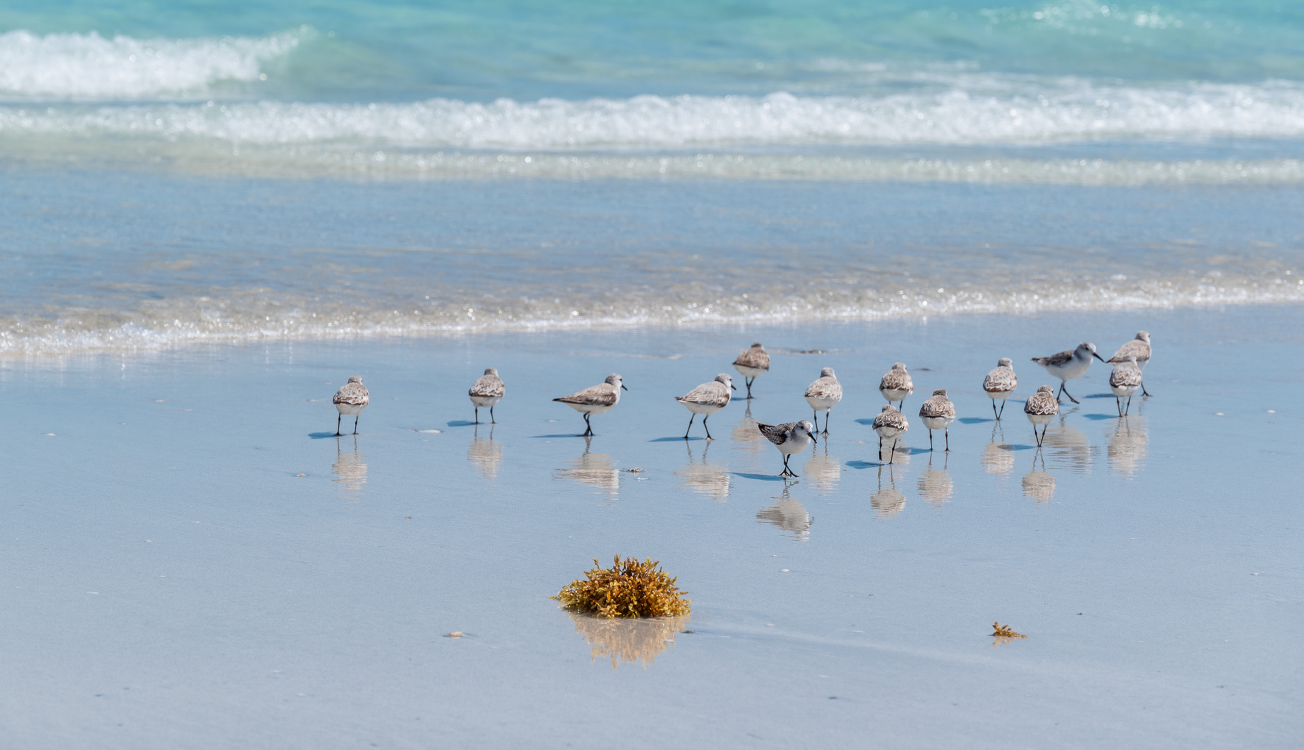 Strandspazierung