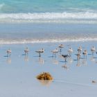 Strandspazierung