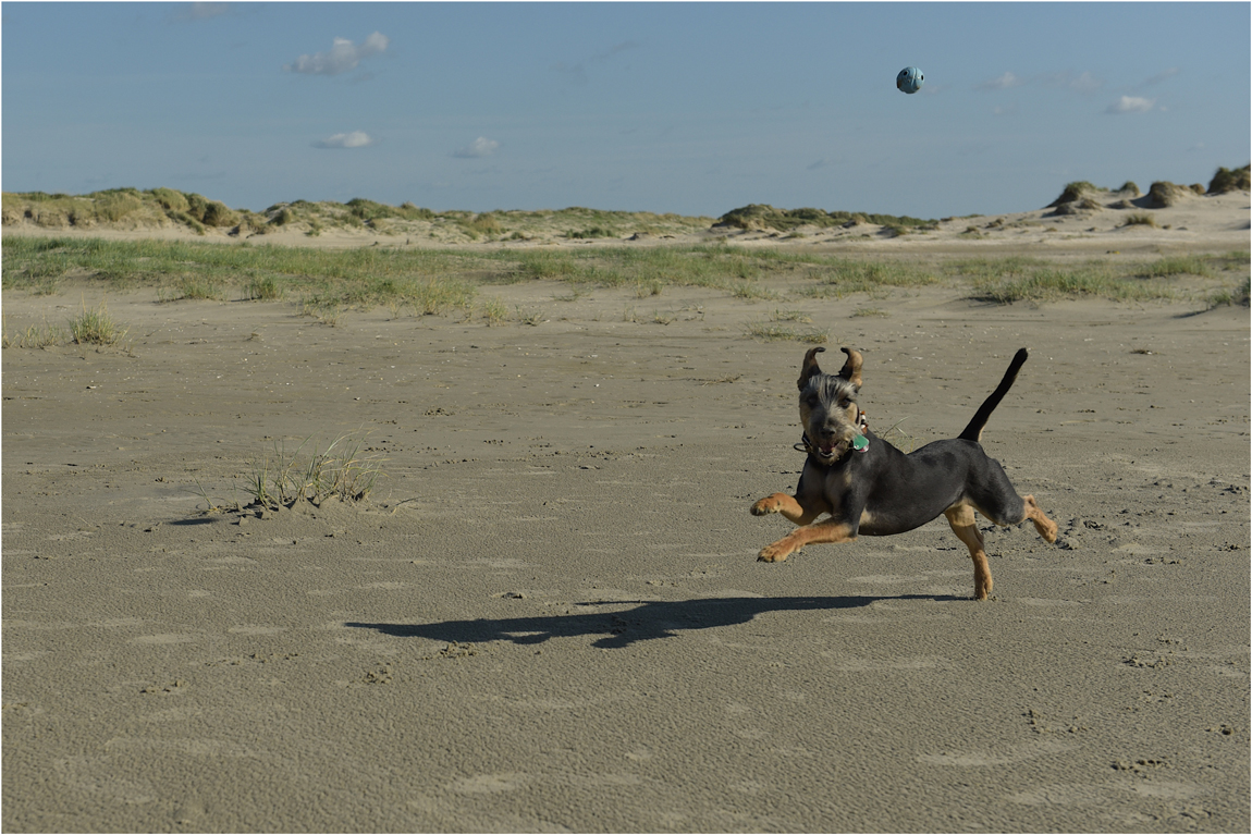 Strandspiel