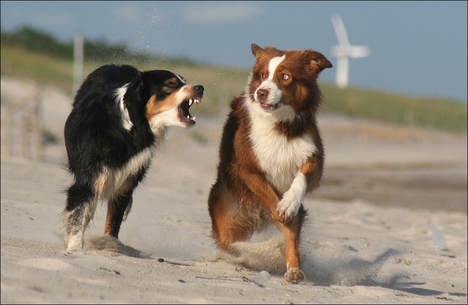 Strandspiele