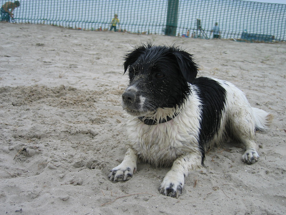 Strandspiele