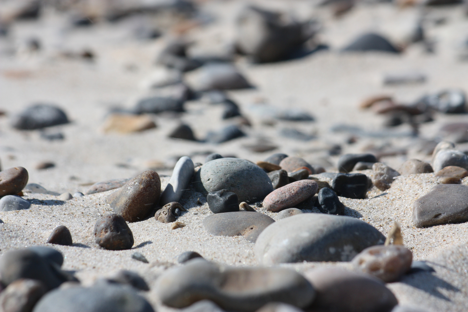 Strandsteine - Slettestrand (Dänemark)