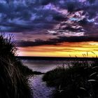 Strandsti zum Meer am Sonnenuntergang