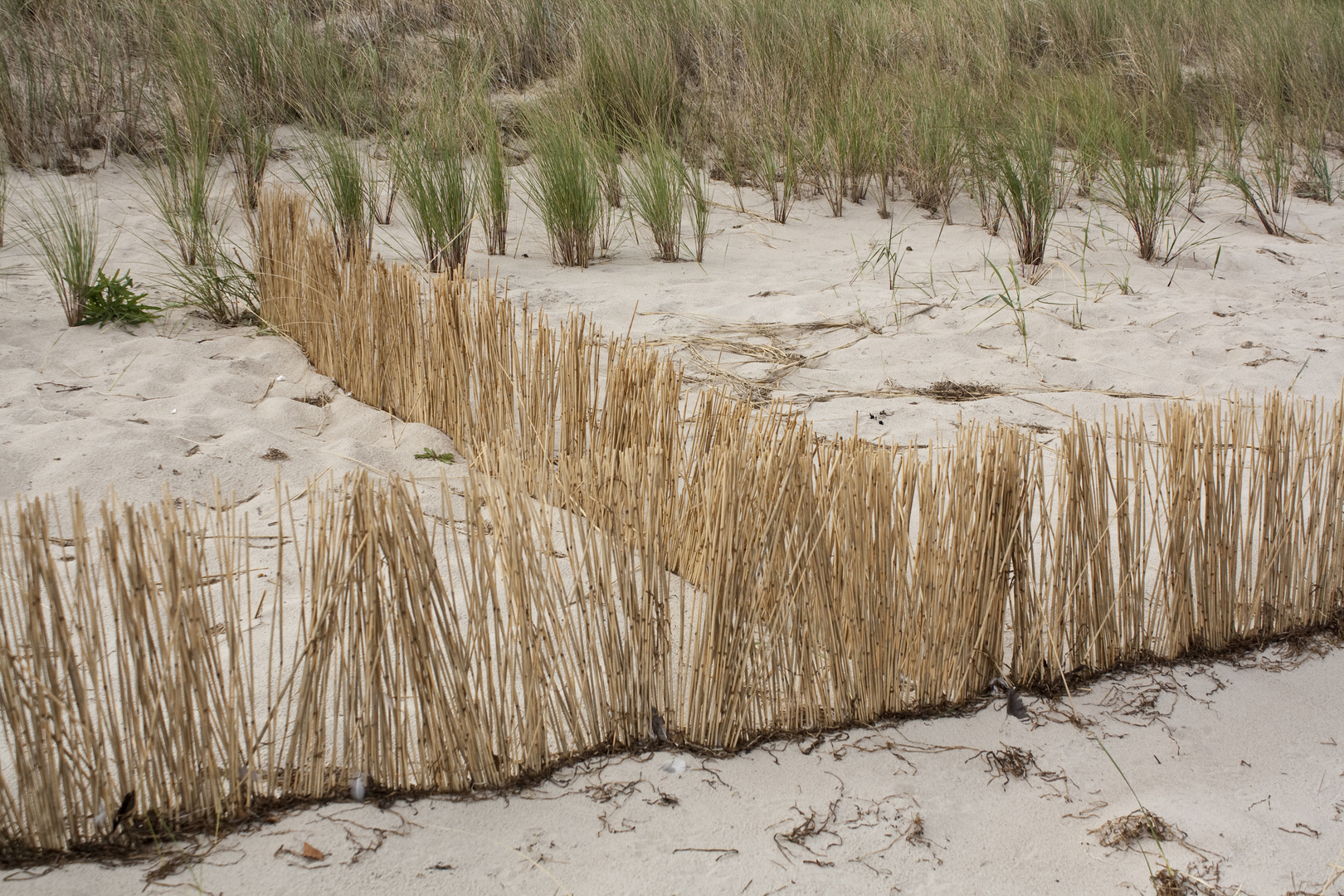 Strandstilleben