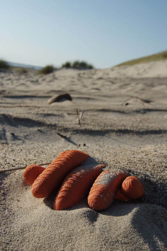 Strandstilleben - einmal anders!