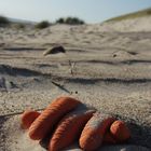 Strandstilleben - einmal anders!