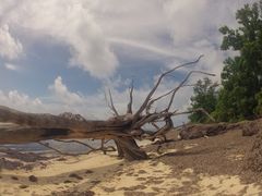 Strandstillleben