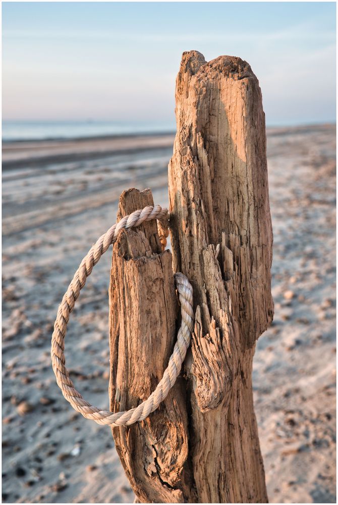 Strandstillleben