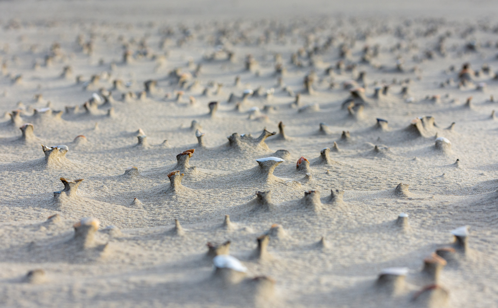 Strandstruktur I