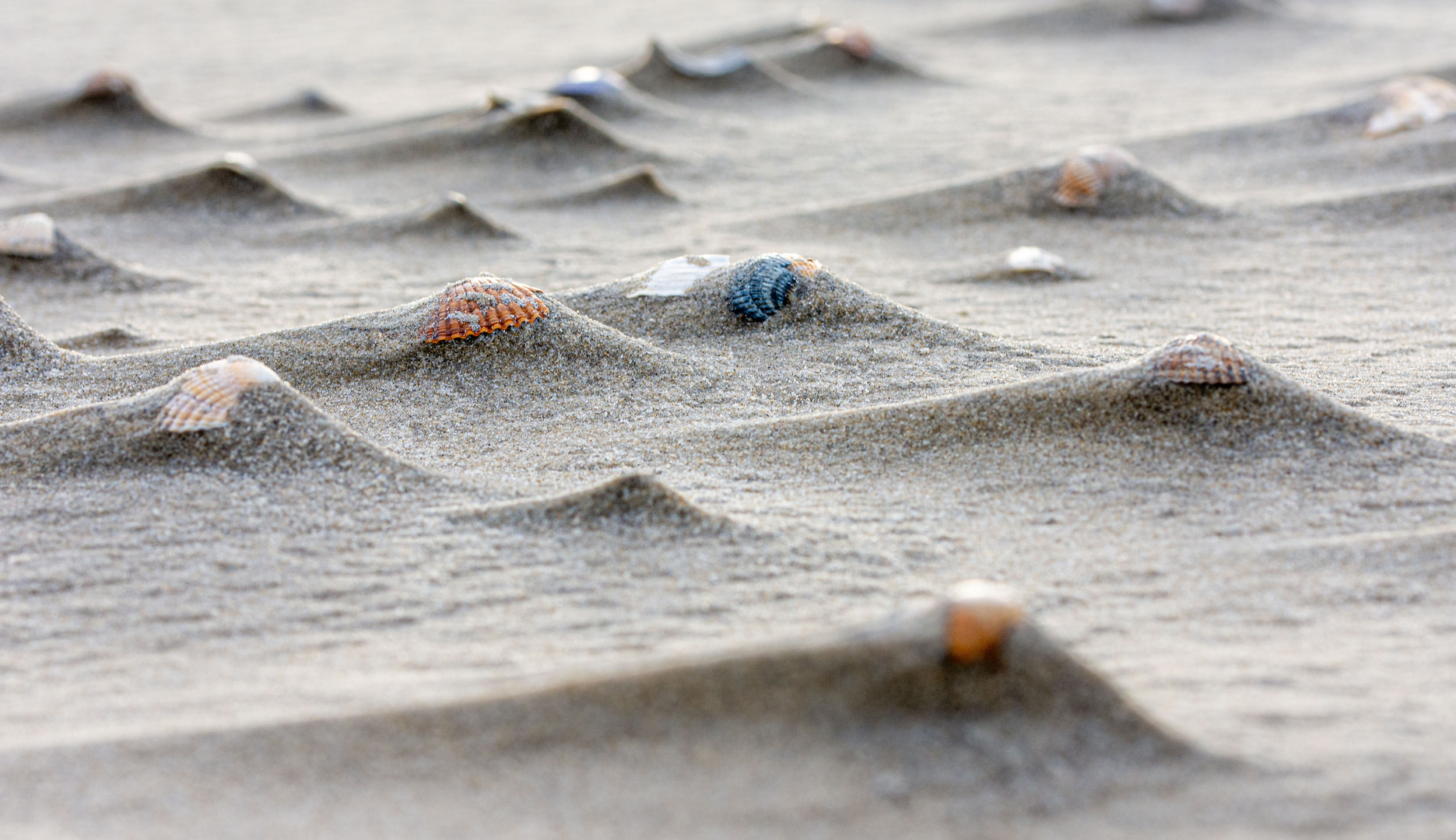 Strandstruktur II