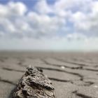 Strandstrukturen - Treibholz, Sand und Himmel