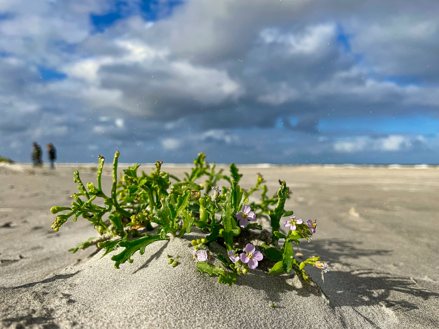 Strandstunden