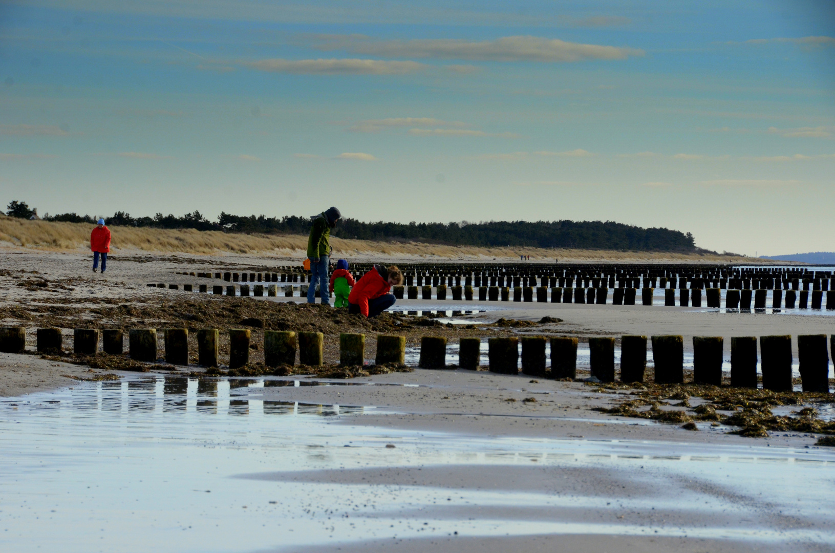 Strandsucher