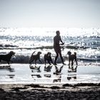 Strandszene, der Hundeanimateur -2