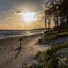 Strandszene Dueodde