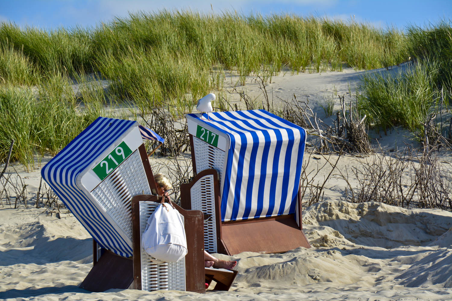 Strandszene- Strandkorb teilen mit Möwe Uwe