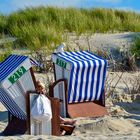 Strandszene- Strandkorb teilen mit Möwe Uwe