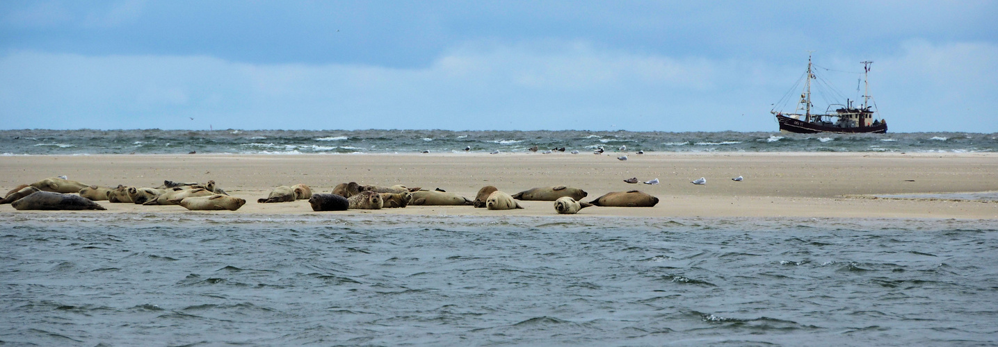 Strandszenen 