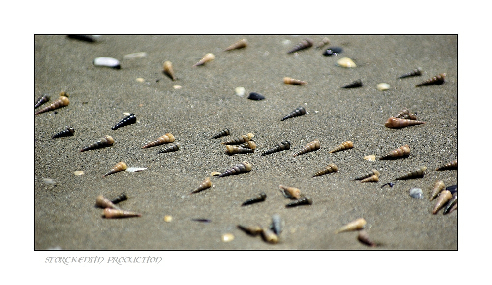 Strandtag