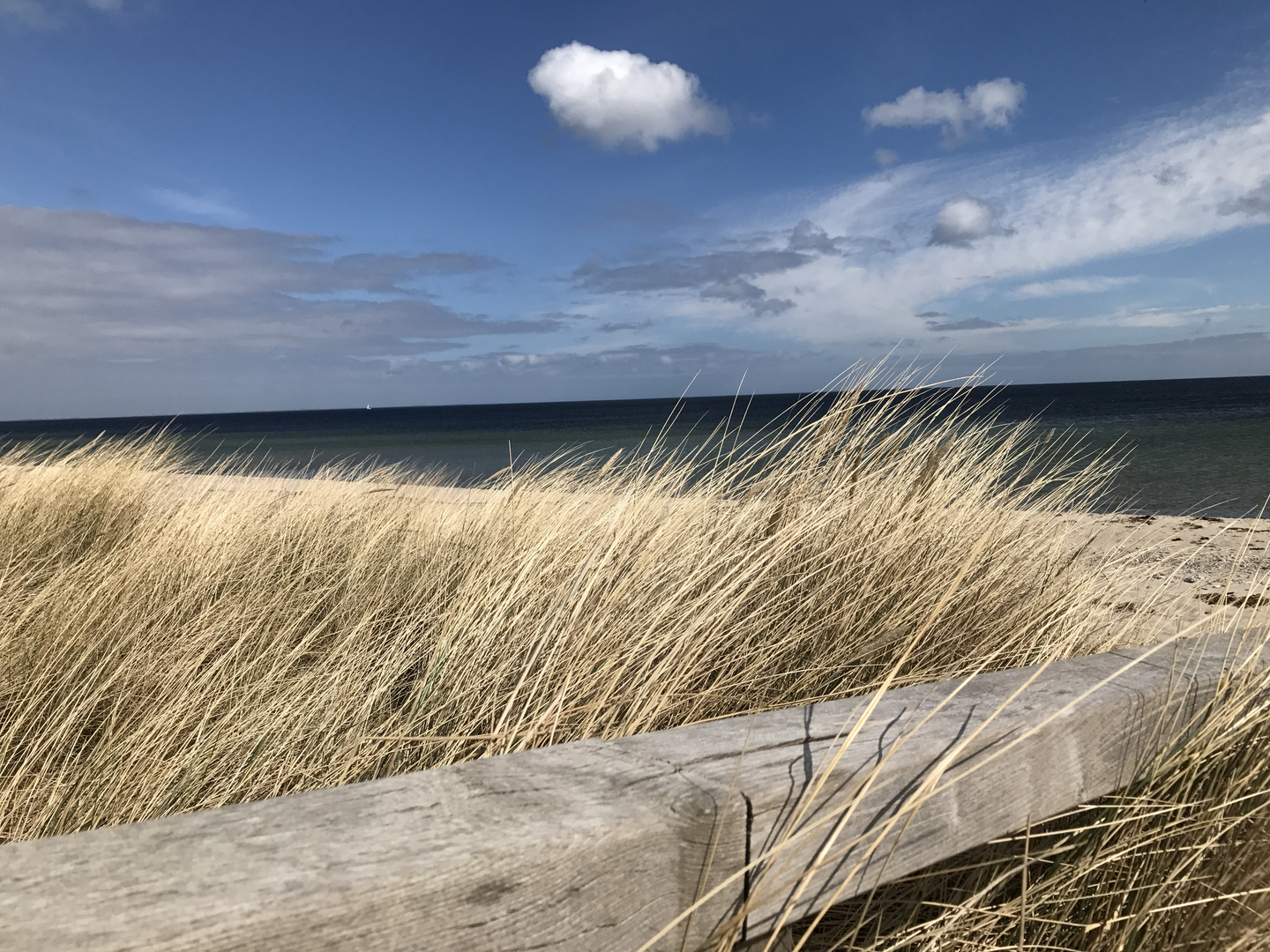 Strandtag