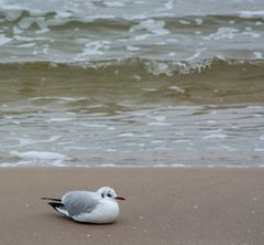 Strandtag