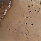 Strandtapser