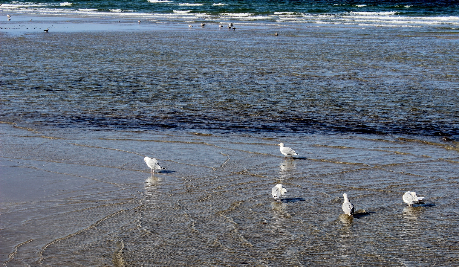 Strandtreffen