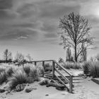 Strandtreppe