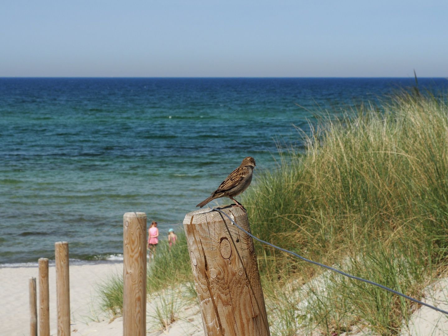 Strandübergang - angeflogen